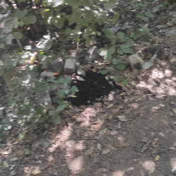 Aden Boğazköy Tesisleri Çok Fazla Çöp Var