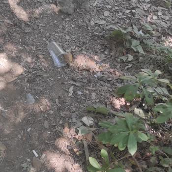 Aden Boğazköy Tesisleri Çok Fazla Çöp Var