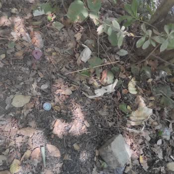 Aden Boğazköy Tesisleri Çok Fazla Çöp Var