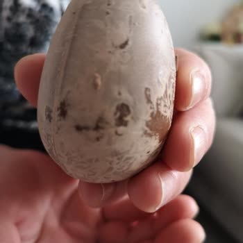 Elvan Gıda Toto Sürpriz Yumurta