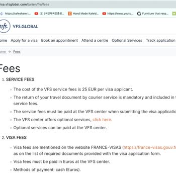 VFS Global 30bin Tl, 875 Euro Ücret Çıkarıyor