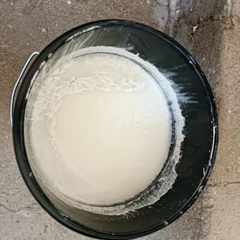 A101 Sarı Renk Olarak Aldığım Koza Boya Beyazımsı Olarak Çıktı.