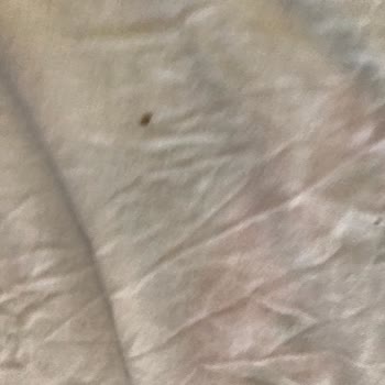 Vestel Kronik Balçık Problemi!