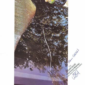 Ray Sigorta Cam Değişimi Eksper Raporu Yüzünden Yapılmıyor