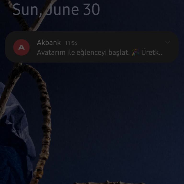 Turkcell Kendiliğinden Azalan Bakiye