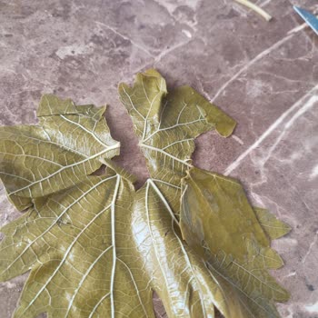 Koy_mahsulleri (Instagram) Köy Mahsulleri Ürün Şikayeti