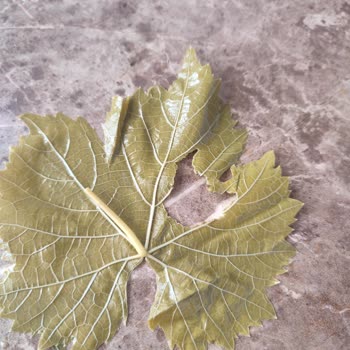 Koy_mahsulleri (Instagram) Köy Mahsulleri Ürün Şikayeti