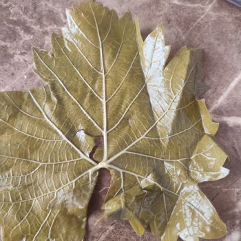 Koy_mahsulleri (Instagram) Köy Mahsulleri Ürün Şikayeti