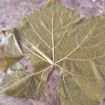 Koy_mahsulleri (Instagram) Köy Mahsulleri Ürün Şikayeti