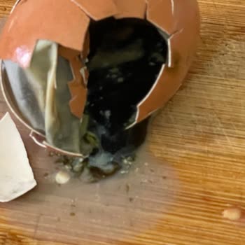 Migros Organik Yumurta Nasıl Çürük Çıkar