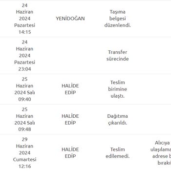 Yurtiçi Kargo Kargom Ne Halde?