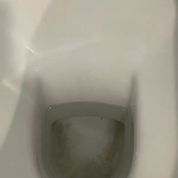 Tatilbudur Un Yalan Görseller Beyan Etmesi