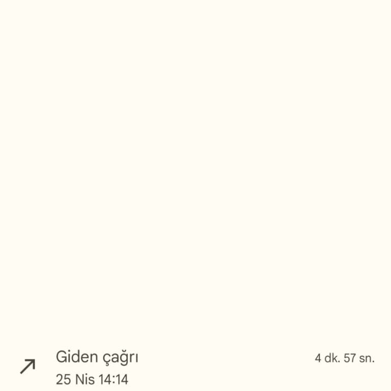 Eminevim Bugünkü Aklım Olsa Üye Olmam