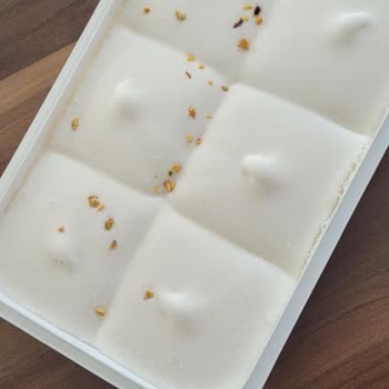 Algida Maraş Usulü Dondurma Üzerinde Çeşni Olmaması