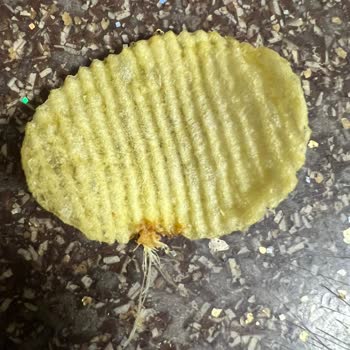 A101 Yabancı Cisim Çıkması