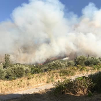 Labranda Ephesus Princess Kuşadası Labranda Ephesus Prenses Otel Tarafından Mağdur Edildik