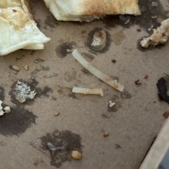 Hasköyüm Pidecisinden Yediğim Pidede Plastik Parçaları Çıktı