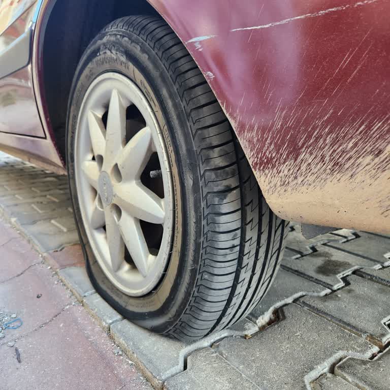 Lassa'nın Başıma Açtığı Dertler