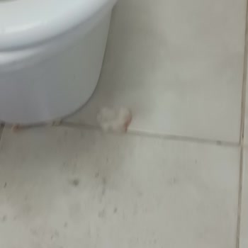 Çorlu Devlet Hastanesi Temizlik Sorunu