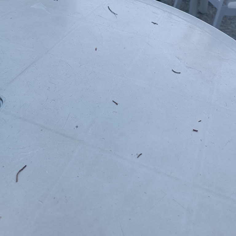 Rios Latte Beach Hotels İle Hayal Kırıklığı Yaratan Tatil Deneyimi