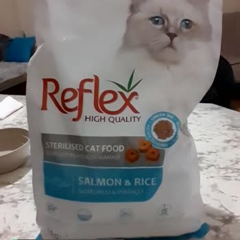Lider Pet Food Refleks Mama Kısırlaştırılmış Kedi Maması!