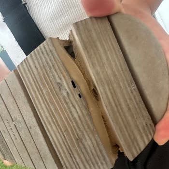 Bershka Terliğimin Değiştirilmesini İstiyorum