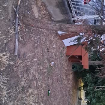 Maltepe Belediyesi Belediye Parkındaki Güvenlik Ve Temizlik Sorunları