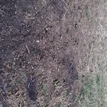 Maltepe Belediyesi Belediye Parkındaki Güvenlik Ve Temizlik Sorunları