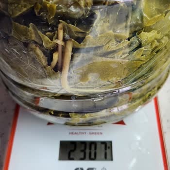 Yasmin Doğal (ege_salamur_) Instagram'dan Alışverişte İade Edemiyorum