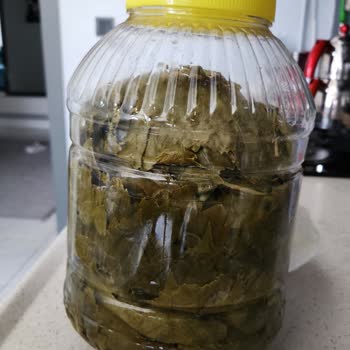 Yasmin Doğal (ege_salamur_) Instagram'dan Alışverişte İade Edemiyorum