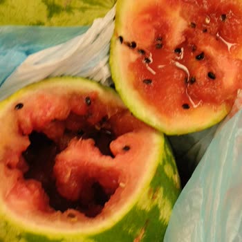 Migros'tan Kurtlanmış Karpuz