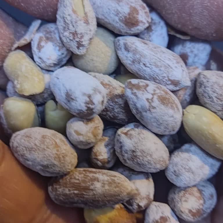 Makbul Aldığım Ürünün Tadını Tuzunu Olmaması Acı Çıkması