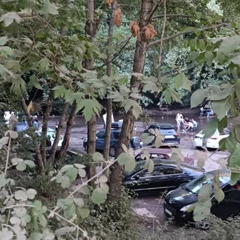 Başiskele Belediyesi Doğal Alanların İşletmelerce Zapt Edilmesi