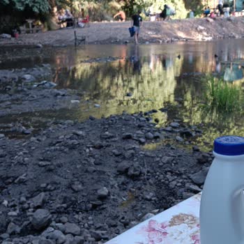Başiskele Belediyesi Doğal Alanların İşletmelerce Zapt Edilmesi