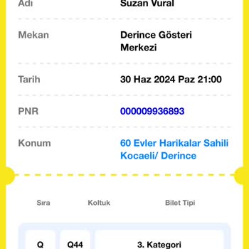 Biletinial.com Anadolu Ateşi Gösterisinde Yer Sorunu Ve Bilet Karmaşası