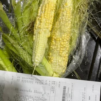 Hakmar Gıda Henüz Daha Olmamış Mısırlar Satılıyor