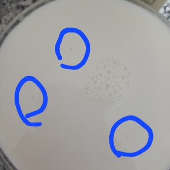 A101 Birşah Sütte Kıl Siyah Parçacıklar!