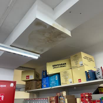 A101 Market İnsan Sağlığını Tehdit Eden Şartlar Hakkında Acil Şikayet