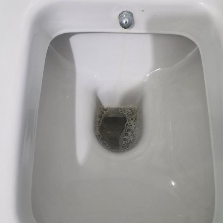 Vitra Karo Klozetin Sürekli Kararması Ve Temizlik Sorunu