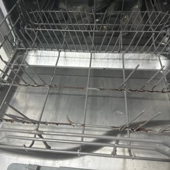 Franke Pişmanlık Mı Lütfen Yardımcı Olun