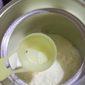 Sma Comfort 1 No Mama İçerisinden Böcek Çıktı