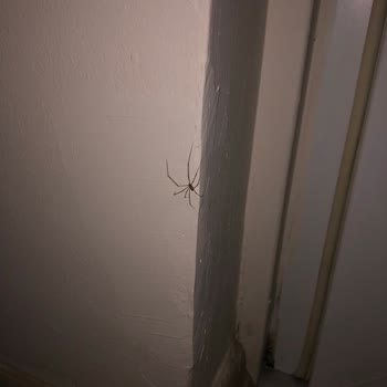 Tozoğlu Bayan Pansiyon Apart Çok Büyük Mağduriyet