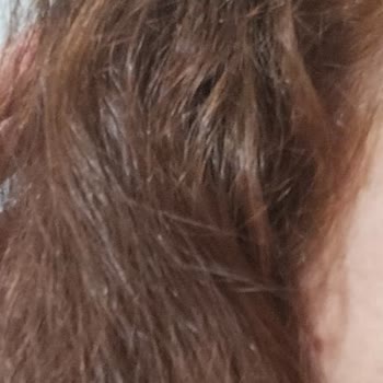 Palette Boya Saçımı Mahvetti