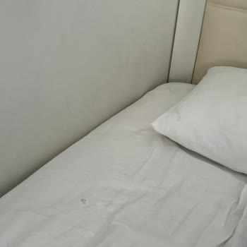 Narven Yöneticileri Göreve Lütfen!