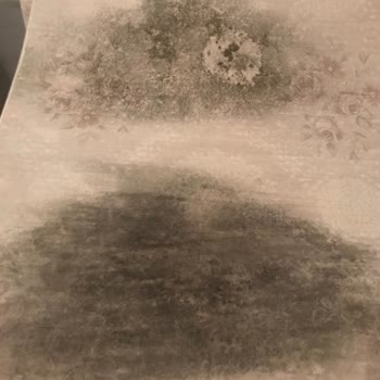 Elit Halı Yıkama (Konya) Elit Halı Konya