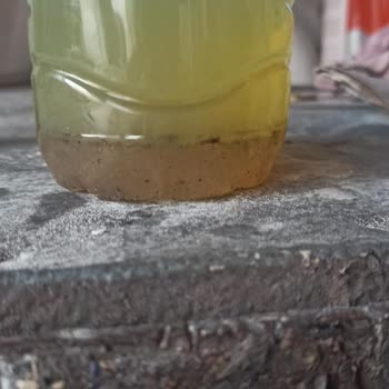 Shell Motorinle Birlikte Suyun Yakıt Olarak Verilmesi