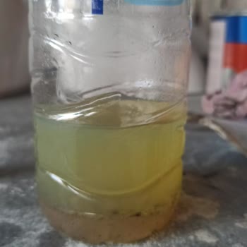 Shell Motorinle Birlikte Suyun Yakıt Olarak Verilmesi