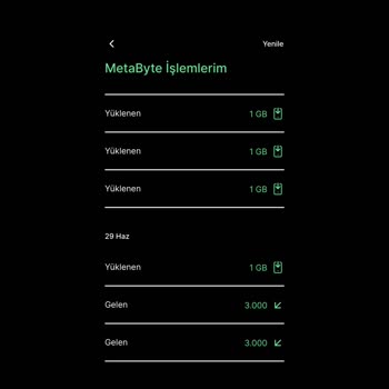 Kim GB İster İnternet Yüklemesi Yapılmasına Rağmen GB Gelmiyor