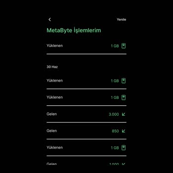Kim GB İster İnternet Yüklemesi Yapılmasına Rağmen GB Gelmiyor