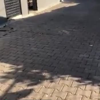 Salihli Belediyesi Sart Mahallesi Pınar Sokak Çöp İçinde!